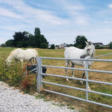 Le Gite De Golette Mettet Esterno foto